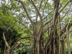 -人民公园(罗湖区)