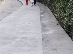 -东澳岛