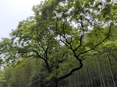 -黄公望隐居地
