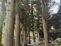 -梭布垭石林景区