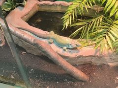 -上海大自然野生昆虫馆(东方明珠·爬宠昆虫探索中心)