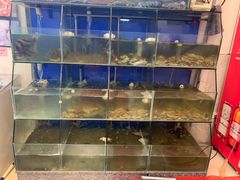 水产区-天天渔港海鲜酒家(石浦玉泉路店)