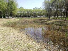 -东郊湿地公园