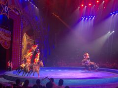 -珠海横琴长隆《卡卡虎奇遇记》