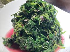 红苋菜-徽州月·民间徽菜(浦东总店)