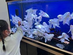 -青石桥花鸟鱼虫市场(叠翠城店)