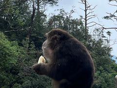 -峨眉山风景名胜区