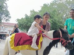 -深圳野生动物园