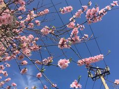 -OCT华侨城·北京