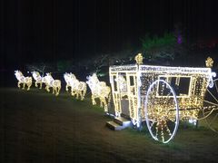 -秀丽东方