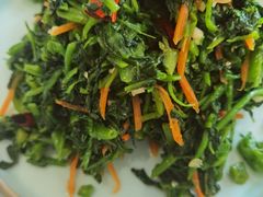 -何适山庄 ·可团建(水长城P2停车场店)