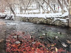 -水磨沟公园