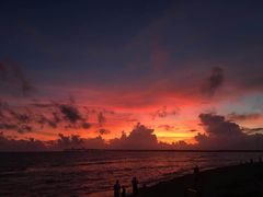 -蒸気海鮮