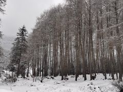 -硗碛藏寨·神木垒景区