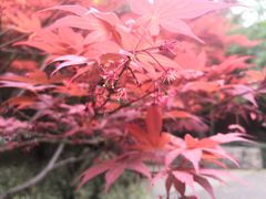 -苏州河梦清园环保主题公园