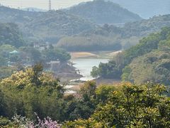 -天鹿湖森林公园
