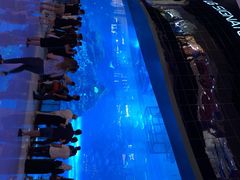 -迪拜水族馆及水下动物园