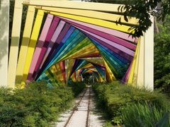 -合肥滨湖国家森林公园