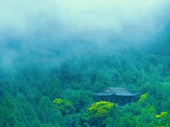 -佛慧山