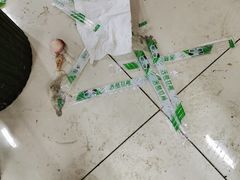 -回坊马二饺子馆