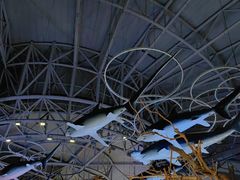 -烟台海昌鲸鲨海洋公园