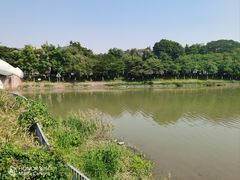 -怡海公园(桂城街道)