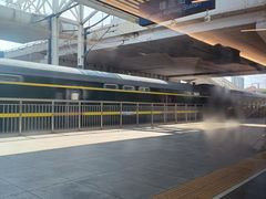 -塘沽站