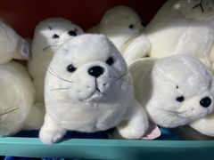 -太平洋海底世界