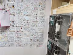 -格蕾宠物医院24H·猫科·肿瘤科·骨科中心(福州总院)