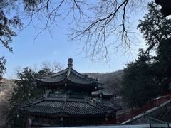 -香山公园