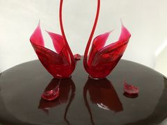 -BLACKSWAN黑天鹅(环球店)