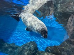 -上海海洋水族馆
