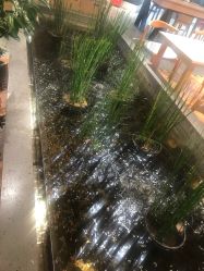 点击看大图 -悦诗风吟innisfree