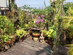 -自然餐厅(Phuket)