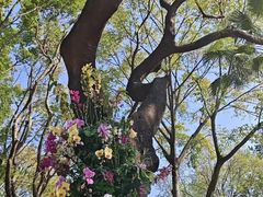 -人民公园(罗湖区)