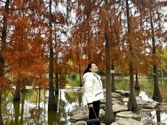 -上海长兴岛郊野公园