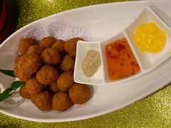 焦溜丸子-大鸭梨烤鸭(左家庄店)