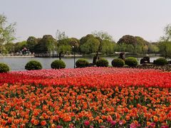 -上海鲜花港