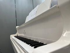 -Melody Mentor音乐私教馆(朝外·悠唐店)