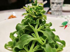 -醉舍·新淮扬菜(长宁龙之梦店)