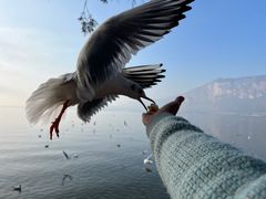 -海埂大坝