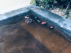 -仁爱团泊湖温泉中心