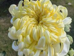 -昆山隆祺国际饭店