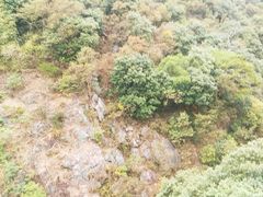 -牛鱼嘴原始生态风景区