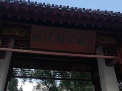 -团结湖公园