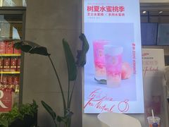 -树夏(鹭洲里店)