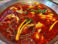 -蜀滋香鲜鱼美蛙火锅(339店)