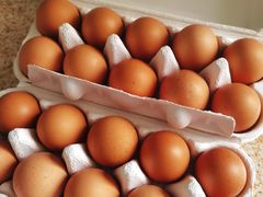 -光明食品集团有限公司