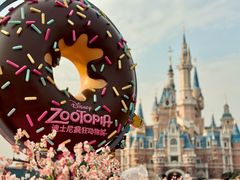 -上海迪士尼度假区