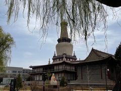 -张掖大佛寺景区